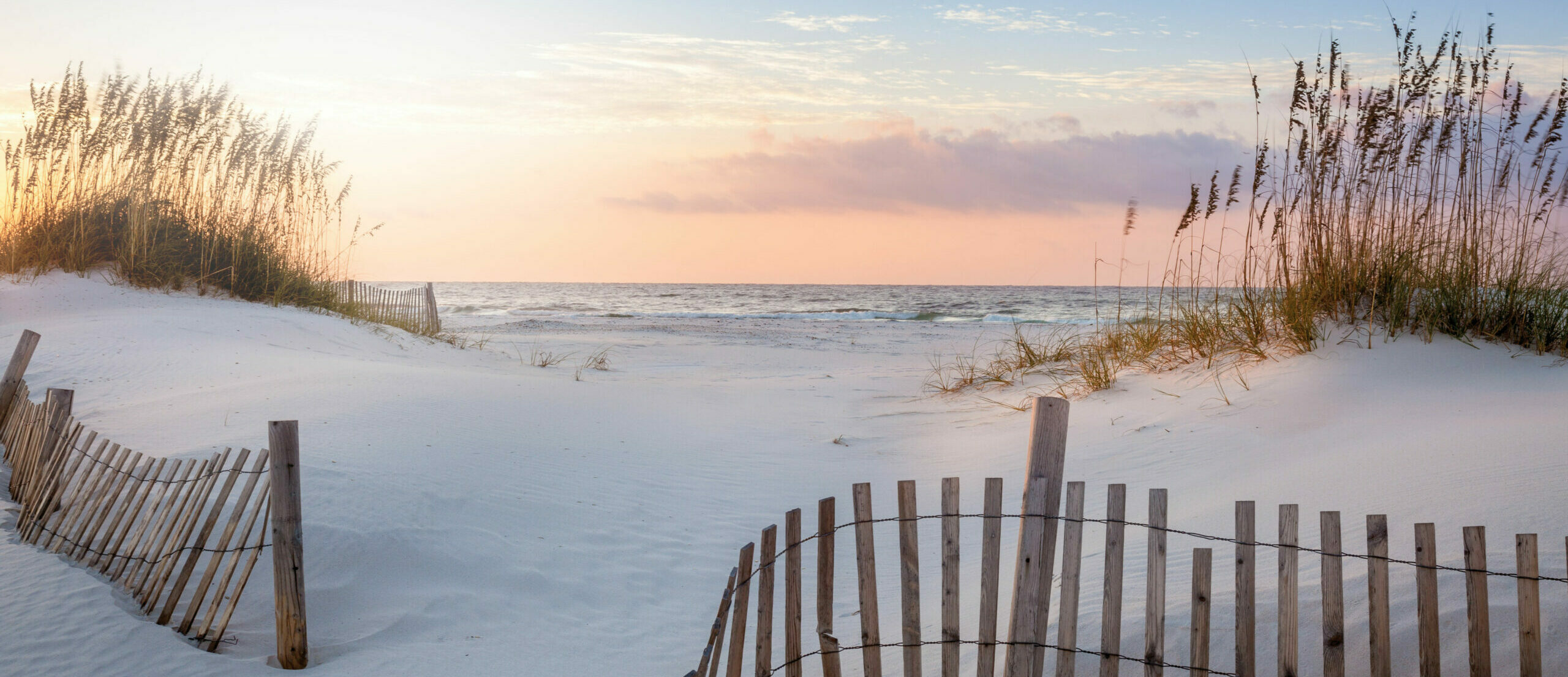 Mental Health Therapy